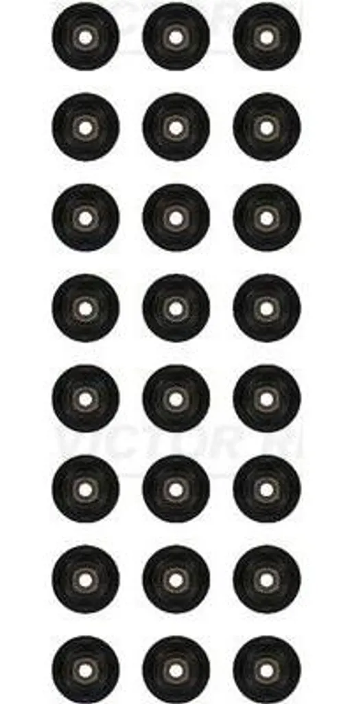 Joints de tige de soupape pour Range Rover et Discovery Kit Complet 24x