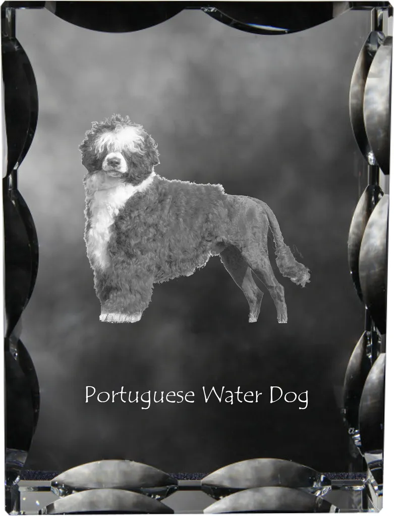 Regalo Cane da Acqua Portoghese | Cornice Foto Vetro Art-Dog Unica