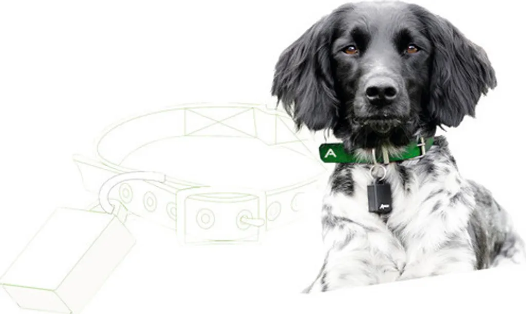 TechLine Kit AMICO: Sicurezza IoT Bluetooth per Animali e Robot - 4
