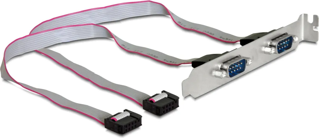 Staffa Seriale Delock 89268 | Doppia Porta COM DB9 per PC Moderni
