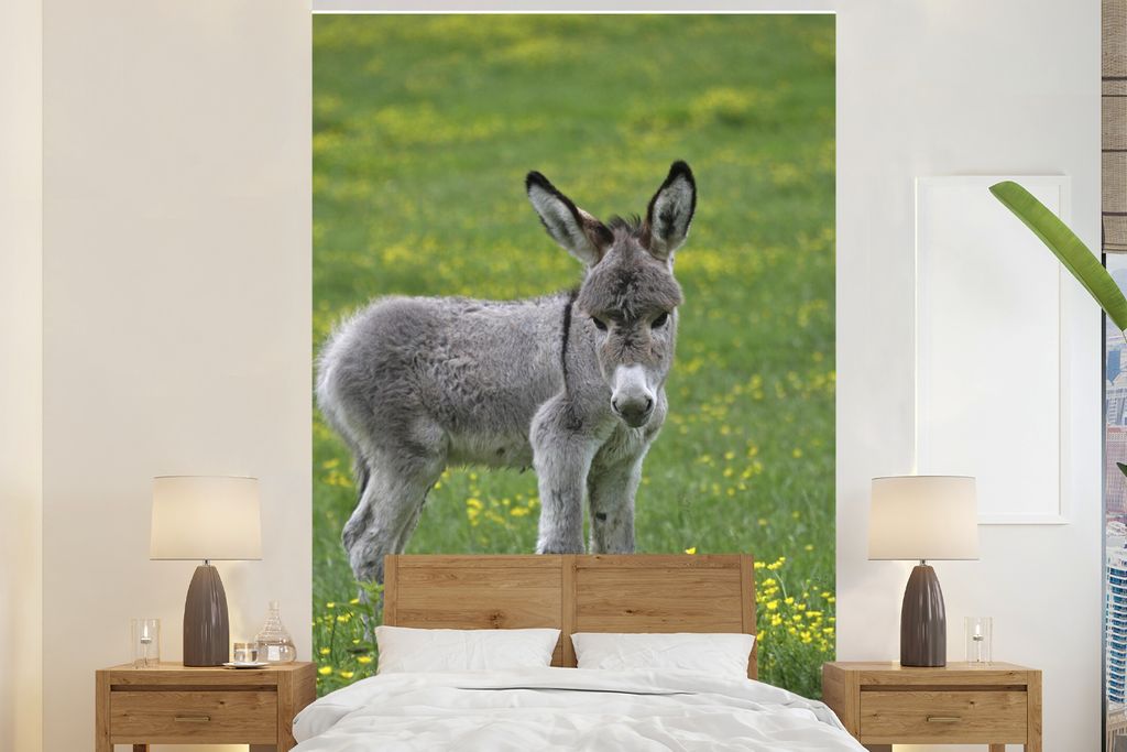 MuchoWow Fototapete für Wohnzimmer oder Schlafzimmer Wandtapete Vinyl Motivtapete Kleiner Esel auf Rasen - 225x350 cm - Schlafzimmer tapete