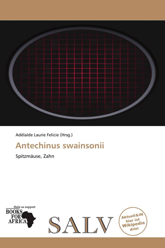 Antechinus swainsonii