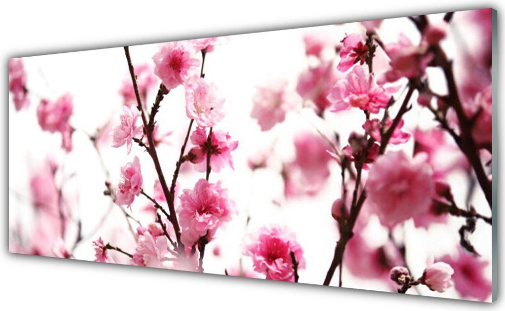 Acrylglasbilder 125x50 Wandbild Druck Zweige Blumen Pflanzen