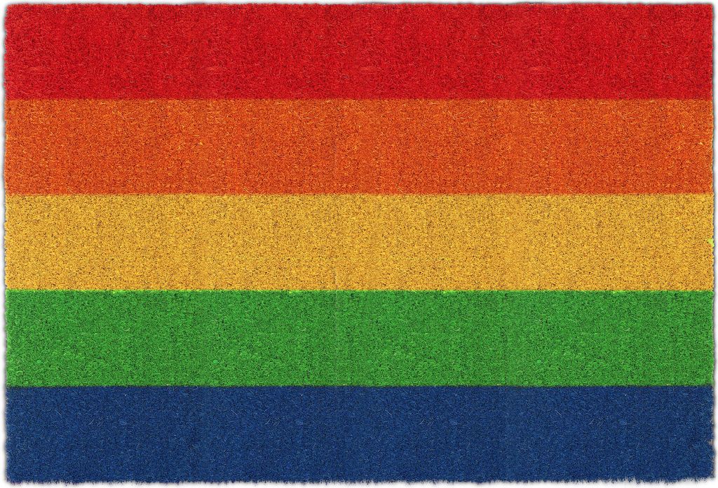 Relaxdays Fußmatte Kokos, Regenbogen, 60x40 cm, rutschfest, Produktbild 