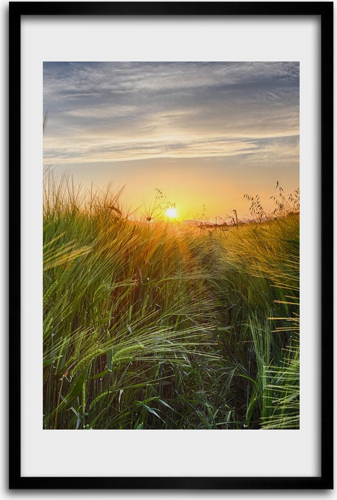 Bild - Bilderrahmen - 40 cm x 60 cm - MDF - Rahmen - Wandkunst - Weizenfeld