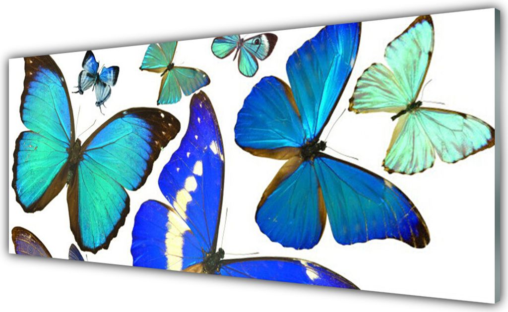 Acrylglasbilder 125x50 Wandbild Druck Falter Natur