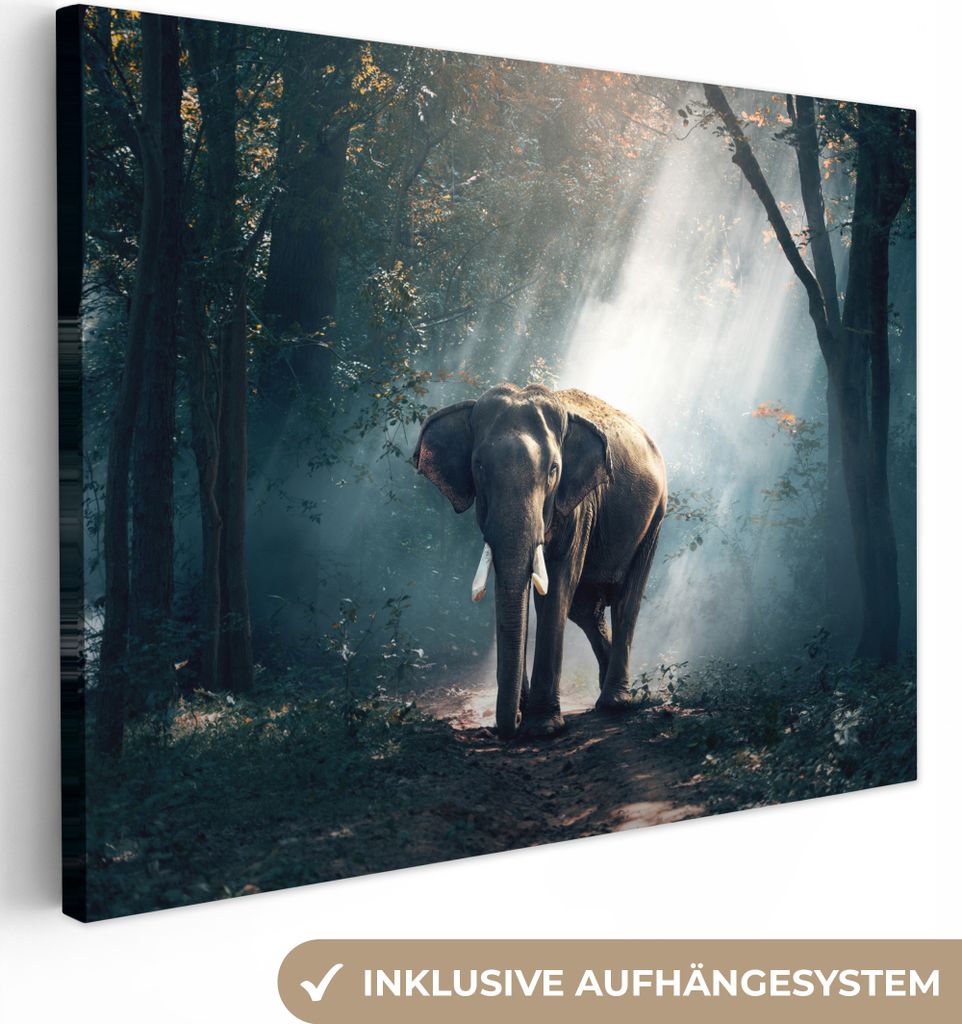 MuchoWow - Leinwandbilder - Elefant - Tiere - Licht - Wald - Natur - Wildtiere, Wandbild, Wanddeko Bilder Wohnzimmer, 80x60 cm