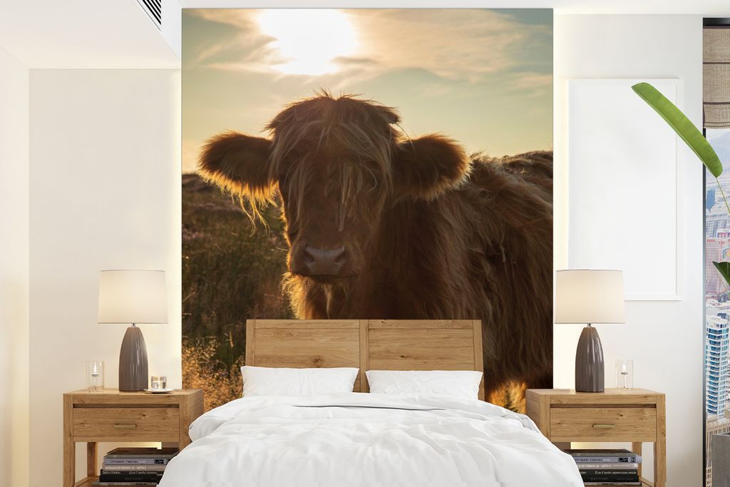 MuchoWow Fototapete für Wohnzimmer oder Schlafzimmer Wandtapete Vinyl Motivtapete Schottischer Highlander - Sonnenuntergang - Gras - 165x220 cm ...