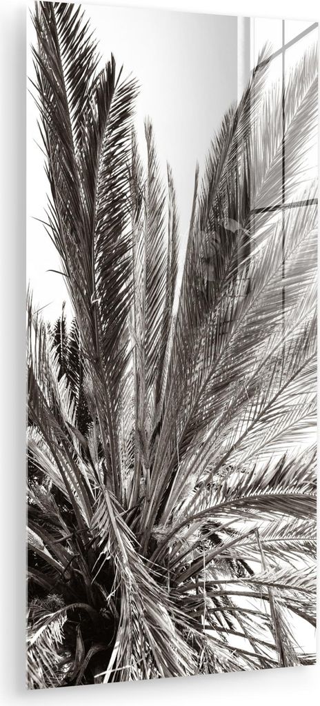 MuchoWow Glasbilder - Bilder auf Wandbild - Foto auf Glas Palme - Tropisch - Schwarz - Weiß 60x120 cm Wanddekoration aus Glas - Acrylglasbild - Ac...