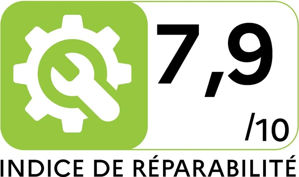 Aspirabriciole Rowenta AC4461 Extenso: Semplice, Robusto e Vincente - 2