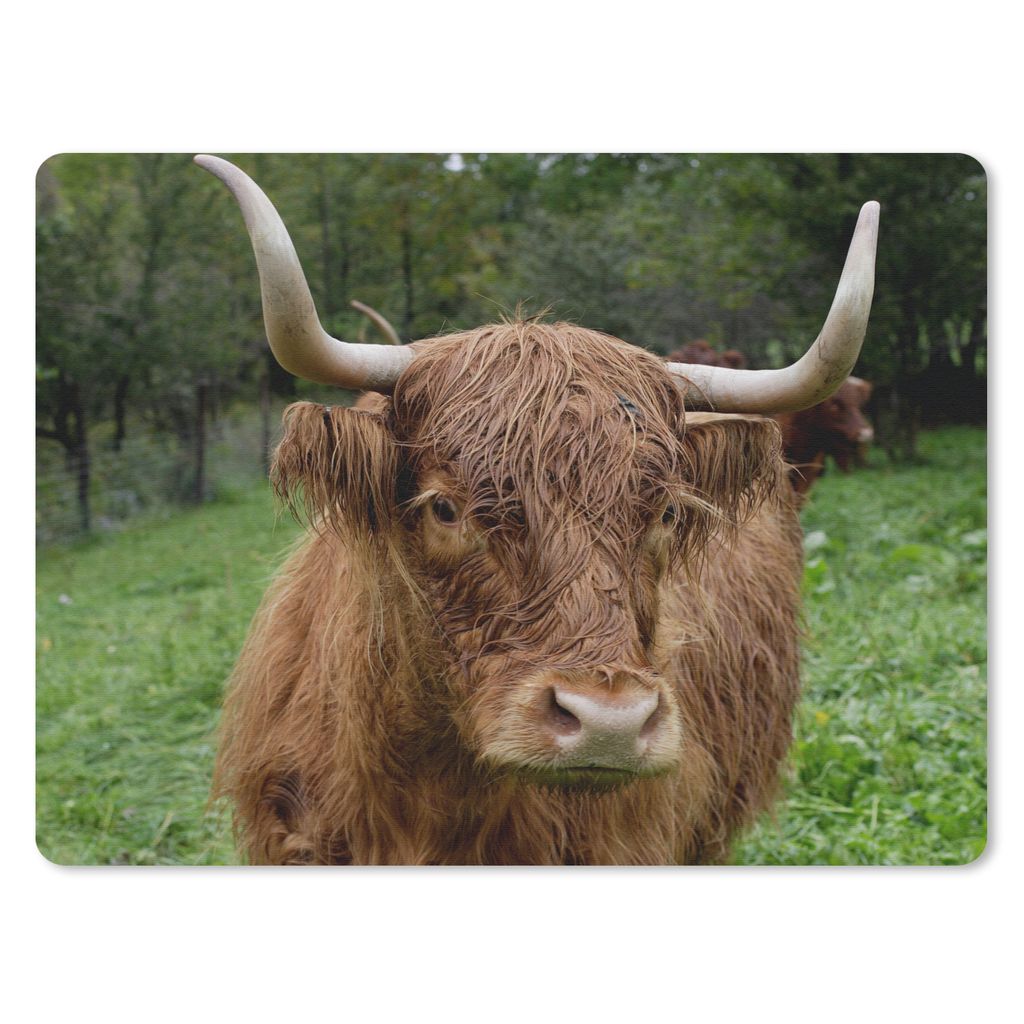 MuchoWow Mauspad Mousepad Schottische Highlander - Tiere - Gras 40x30 cm - Mousepads - Maus Mat - Pad - Mausunterlage - Anti Rutsch