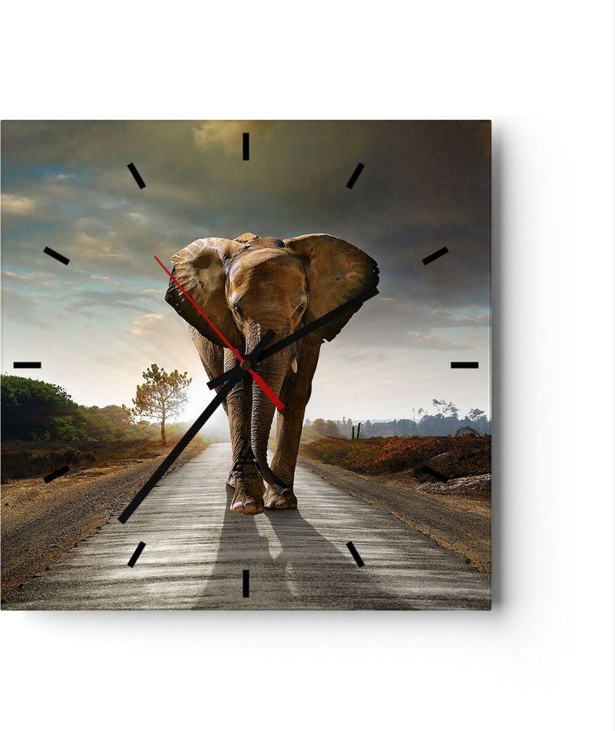 Wanduhr - Quadrat - Glasuhr - Elefant Straße Landschaft - 40x40cm - Schleichendes Uhrwerk - Lautlos - zum Aufhängen bereit - Dekoration Modern - ...