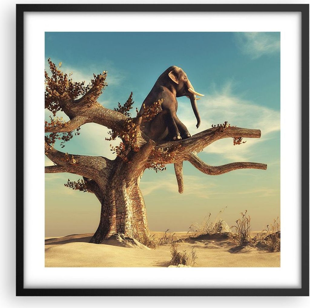 Gerahmtes Poster - Schwarzer Rahmen - Sitzen Elefant Baum - Produktbild 