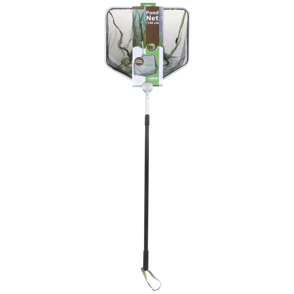 Épuisette pour poissons de bassin avec manche télescopique et filet fond