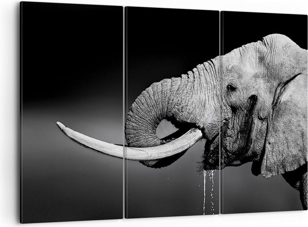 Bild auf Leinwand - Leinwandbild - Elefant Stoßzahn Natur - 105x70cm - Wand Bild - Wanddeko - Leinwanddruck - Bilder - Kunstdruck - Wanddekoration...