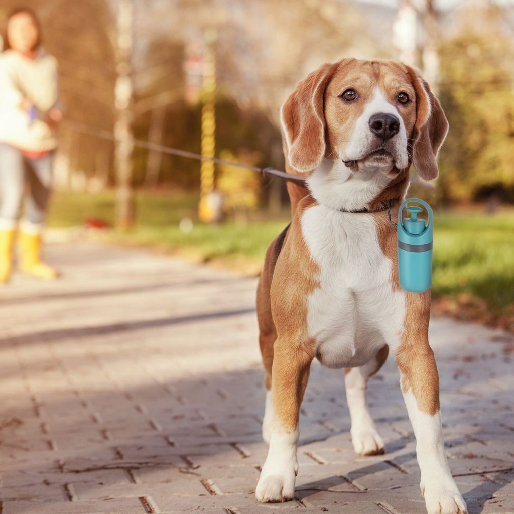 Tragbare Hundekotgreifer mit Kotbeutelspender, Produktbild 2