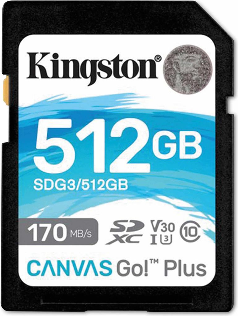 Kingston Canvas Go! Plus - Flash-Speicherkarte - 512 GB - Produktbild 