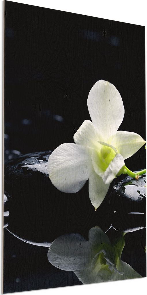 DEQORI Holzbild 60x90 cm 'Orchidee mit Zen-Steinen' Bild auf Holz Wandbild Kunstdruck