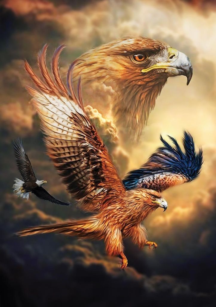 ART PUZZLE Puzzle Aquila 1000 pezzi Immagine del prodotto 