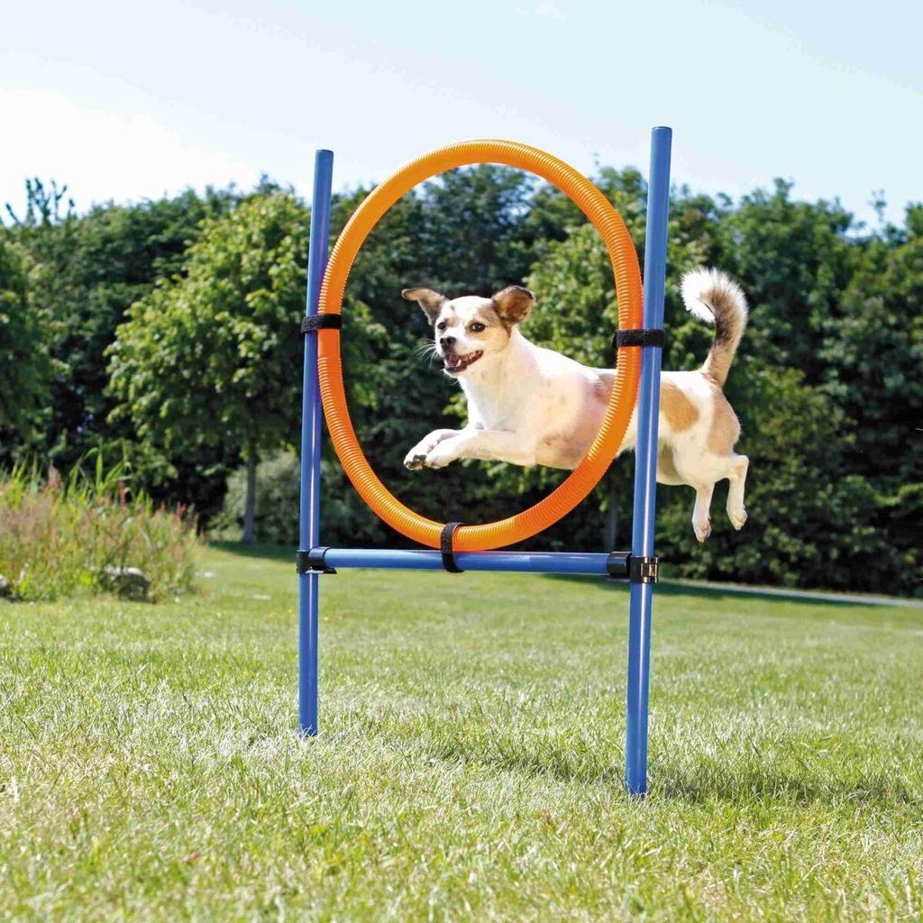 TRIXIE Fun Agility Ring - blau/orange - 115 × ø 3 cm, ø 65 cm
