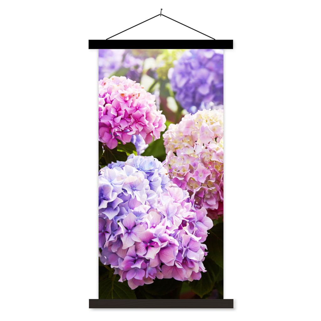 MuchoWow Textilposter Blumen - Hortensie - Rosa - Blätter - Sonne 60x120 cm mit schwarzem Rahmen - Magnete