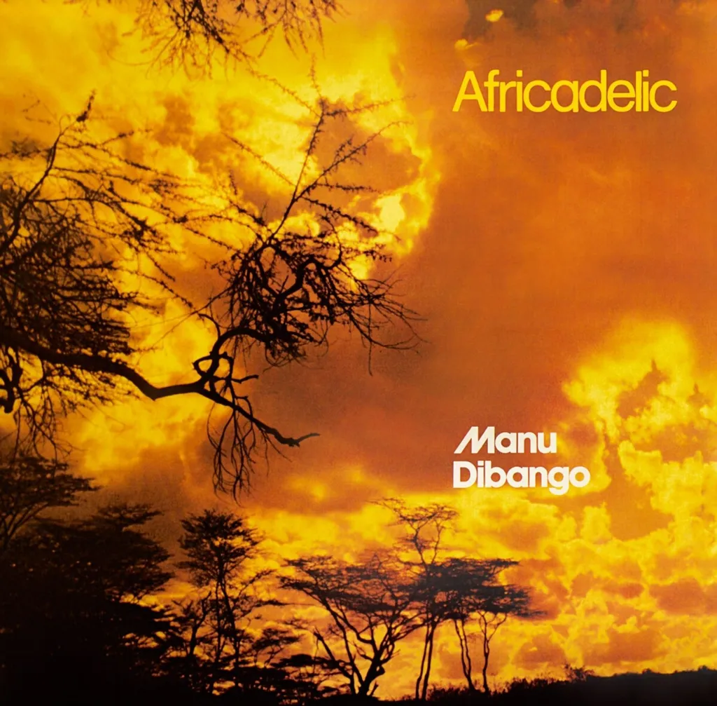 Disque Vinyle Africadelic Afro-Funk - LP 180g Musique Africaine Vintage