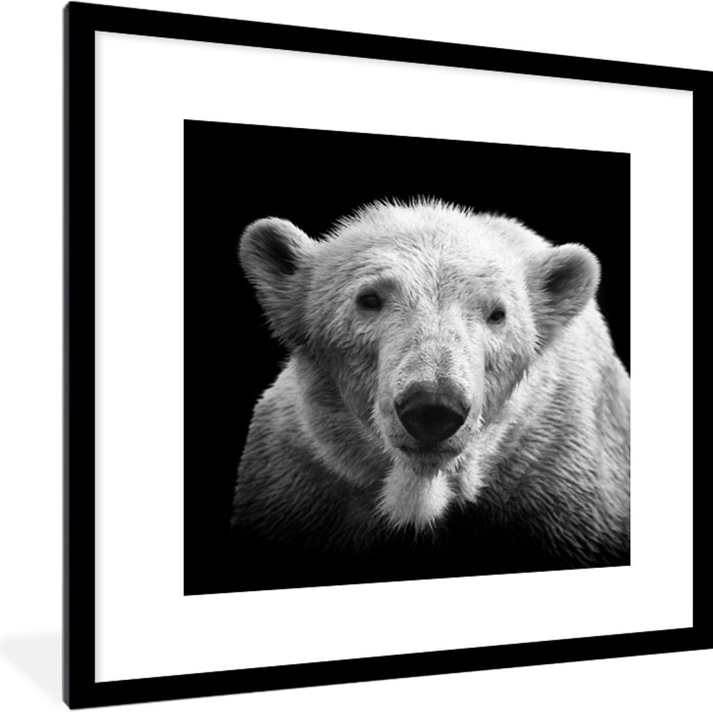 MuchoWow Gerahmtes Poster Eisbär - Tier - Schwarz - Weiß 40x40 cm - Poster mit Schwarzem Bilderrahmen Wandposter Rahmen Foto Bilder - Poster - ...