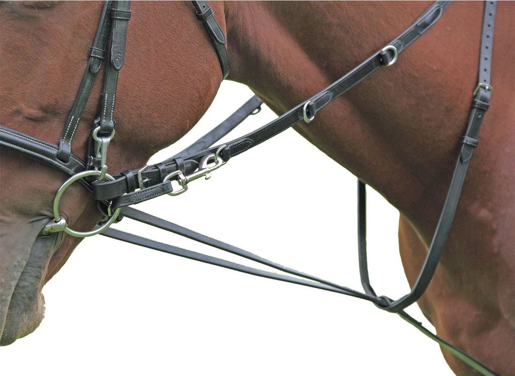 Blenheim - Zügel "Market Harborough", Leder ER1062 (Pony) (Schwarz)