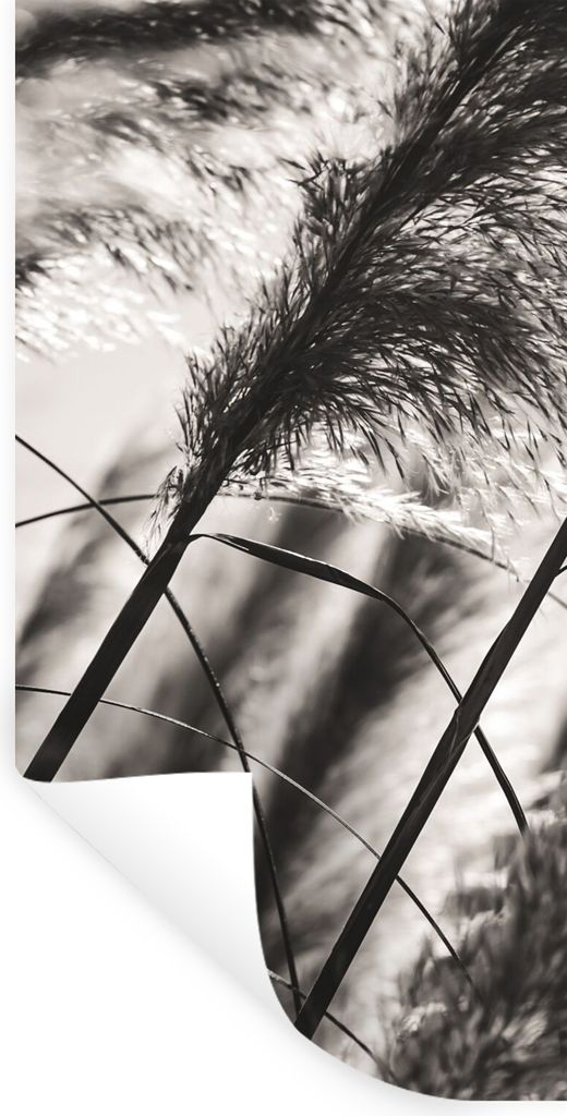 MuchoWow Wandtattoo Wandsticker Wandaufkleber Pampasgras - Schwarz - Weiß - Pflanze 80x160 cm Selbstklebend und Repositionierbar - Sticker - Dek...