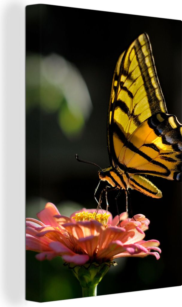 OneMillionCanvasses - Leinwandbilder - 90x140 cm, Schmetterling - Botanisch - Blume, Wandbilder Kunstdruck Wanddekoration - Foto auf Leinwand - G...