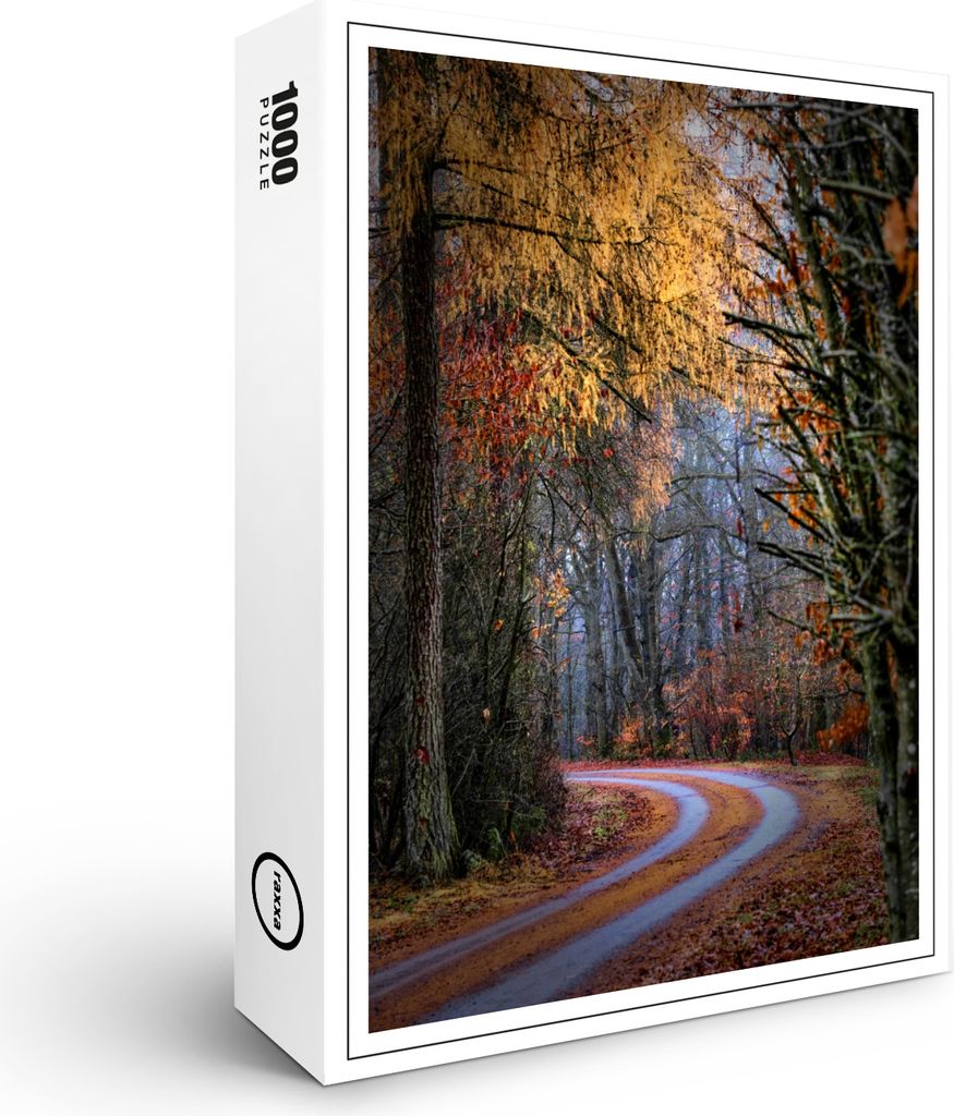 raxxa Premium-Puzzle "Heimweg", 1000 Teile Produktbild 