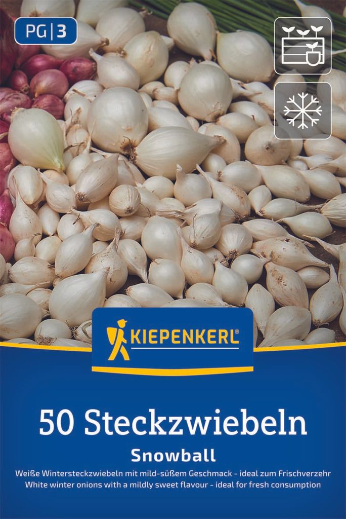 Kiepenkerl Wintersteckzwiebel Snowball - weiß Allium cepa Produktbild 