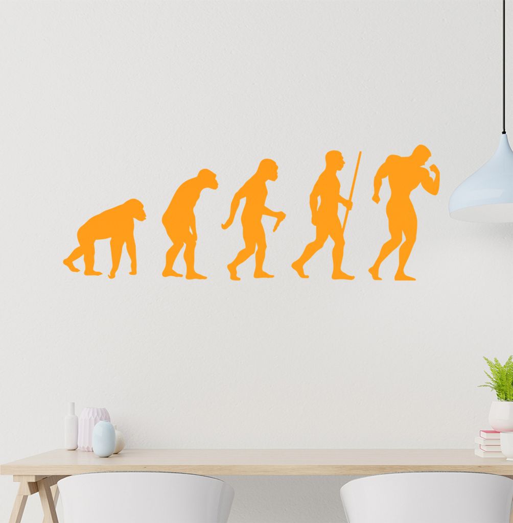 Bodybuilding Evolution Wandtattoo Wandaufkleber Wall Sticker - Dekoration, Küche, Wohnzimmer, Schlafzimmer, Badezimmer