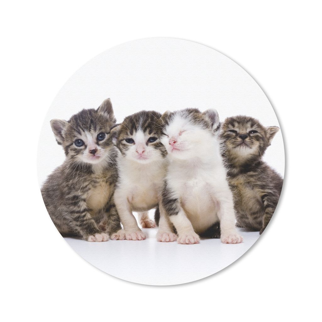 MuchoWow Mauspad Mousepad Katze - Haustiere - Fell - Porträt 50x50 cm - Mousepads - Maus Mat - Pad - Mausunterlage - Vinyl
