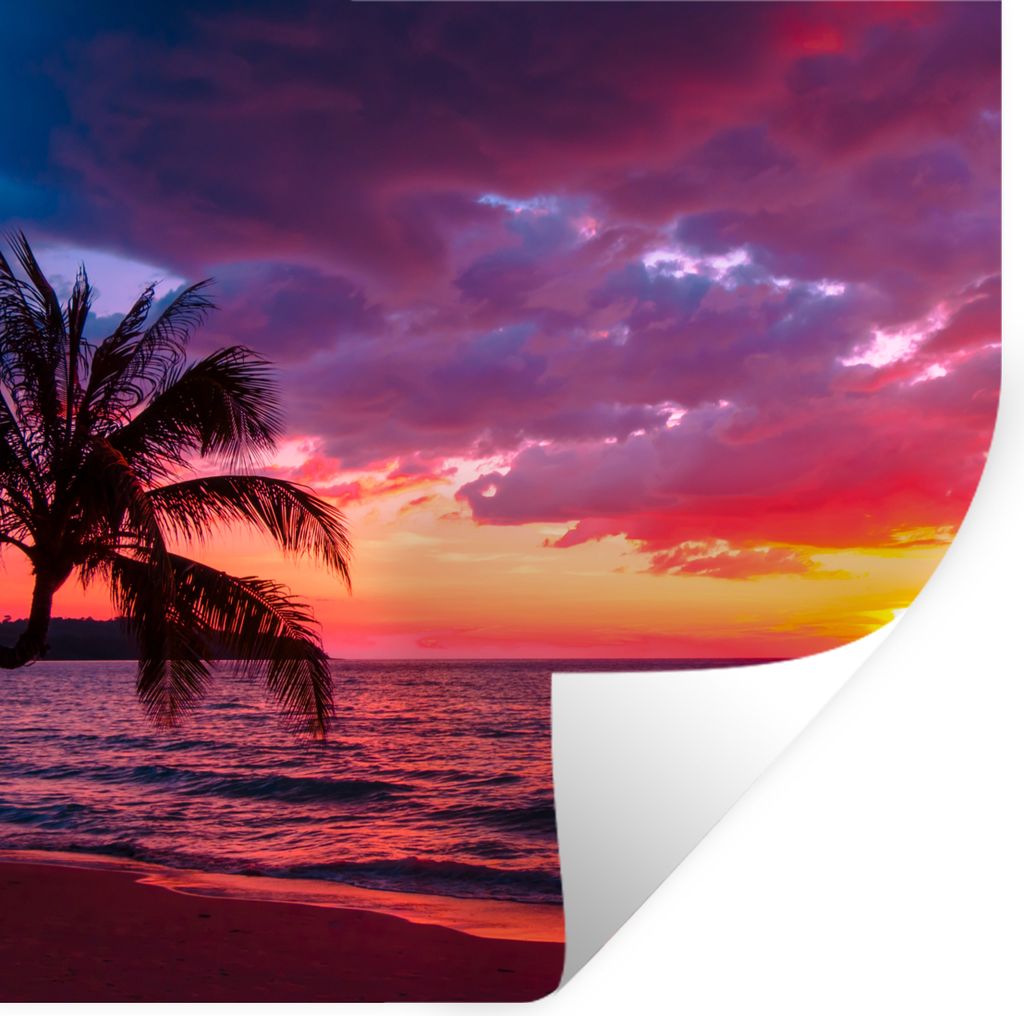 MuchoWow Wandtattoo Wandsticker Wandaufkleber Sonne - Horizont - Rosa - Palme - Meer 80x80 cm Selbstklebend und Repositionierbar - Wierderverwend...
