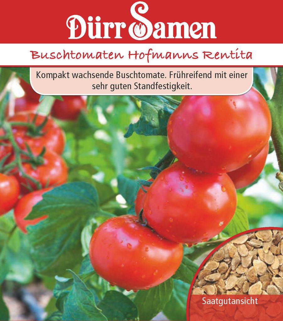 Artikelbild 1 von 'Buschtomate Hoffmanns Rentita' aus der Kategorie Buschtomatensamen