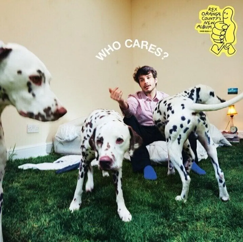 Album Vinyle Rex Orange County Musique Ambiance Chill pour Salon Cosy