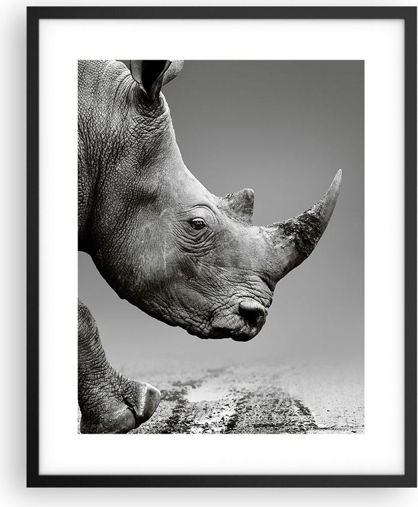 Gerahmtes Poster - Schwarzer Rahmen - Nashorn Monochrom Produktbild 