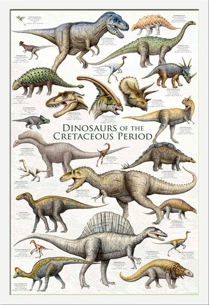 Poster Éducatif Dinosaures pour École et Bureau avec Cadre Blanc Robuste