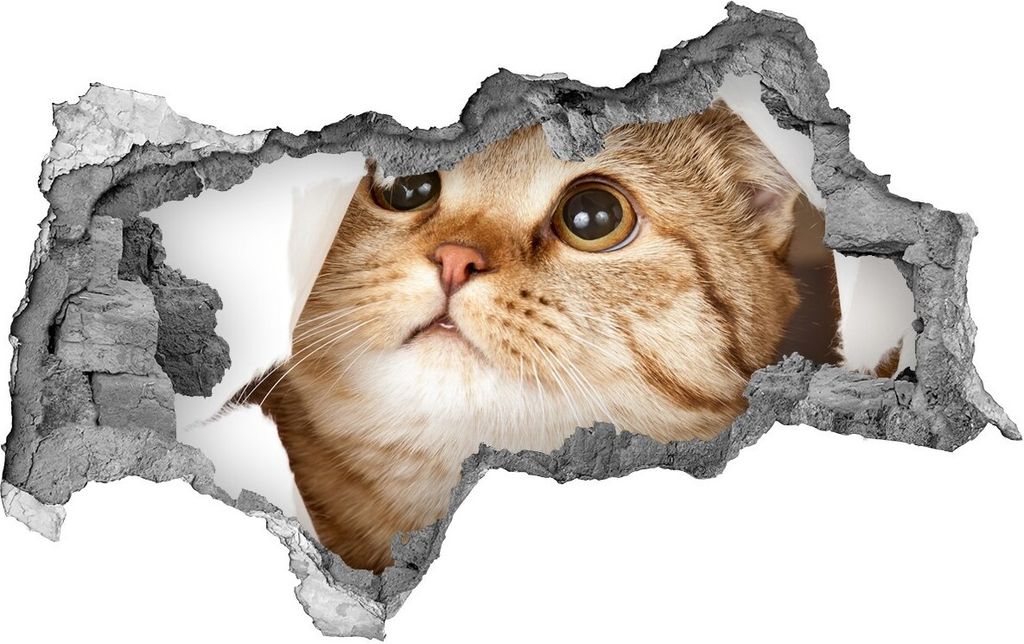 Selbstklebender Loch-3D-Aufkleber 95x73 cm Katze
