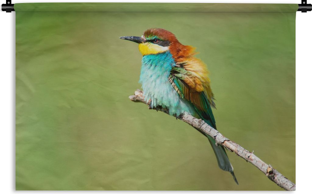 MuchoWow Wandteppich Wandbehang Vogel - Tiere - Bienenfresser 150x100 cm Tapisserie Dekoration Wandtuch - Waschbar - Tapisserien - Wand-Decke