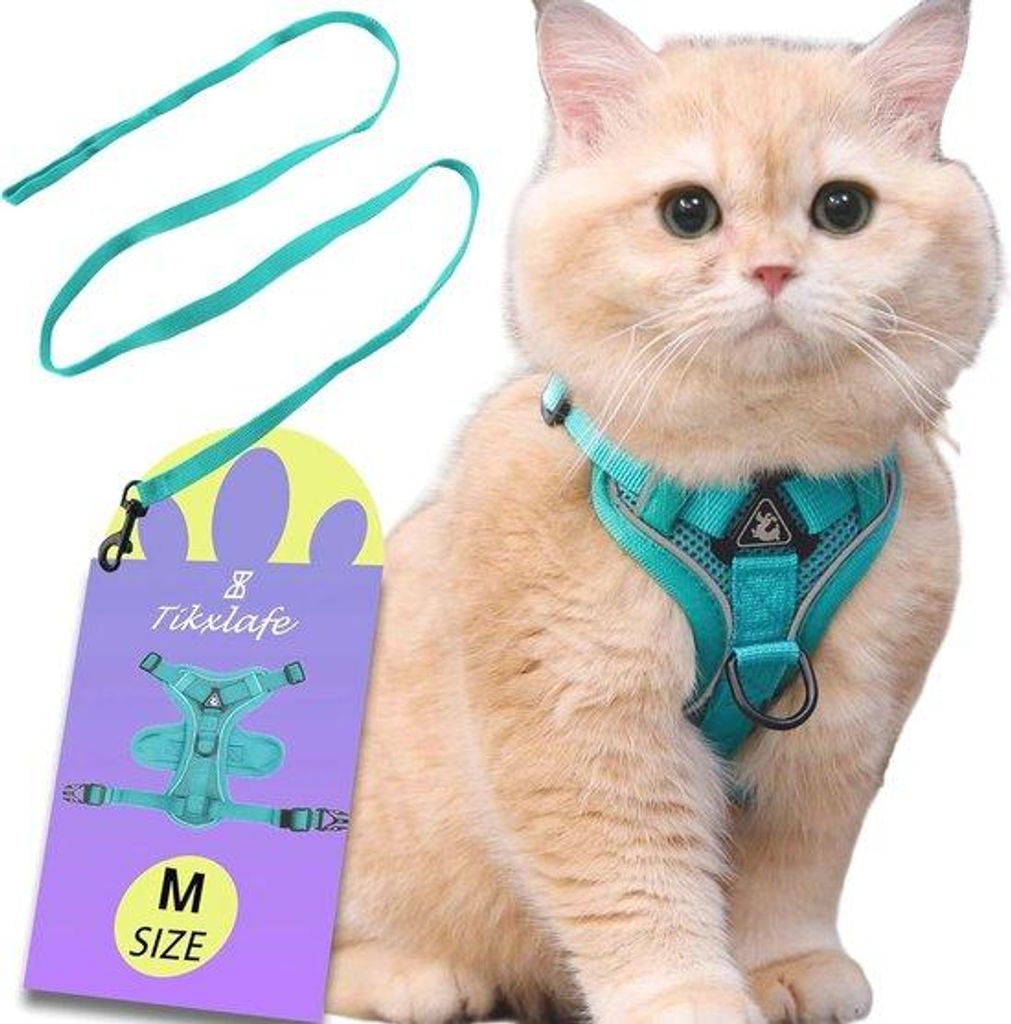 Kattentuig mit Riemen für Kätzchen, 150 cm, Verstellbare Polyester Katzenleine, Anti-Ontsnappung, Sicher und Komfortabel in Blau