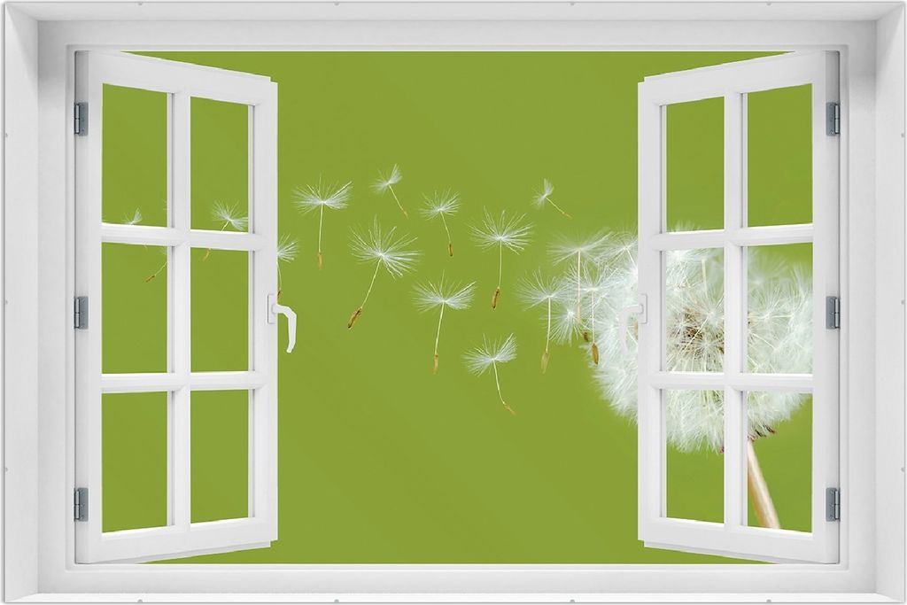 Wallario Wandbild mit Fenster-Illusion: Pusteblume auf der Wiese mit fliegenden Samen, Größe: 61 x 91,5 cm, Poster mit rahmenlosen Bildhalter