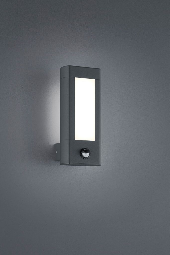 LED buitenwandlamp RHINE IP54, 2x4,5 W, 2x450 lm, 3000 K, Productafbeelding 