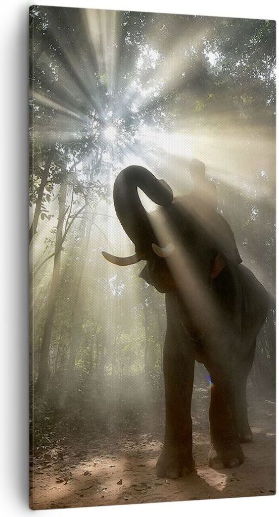 Bild auf Leinwand - Leinwandbild - Elefant Dschungel  - Produktbild 