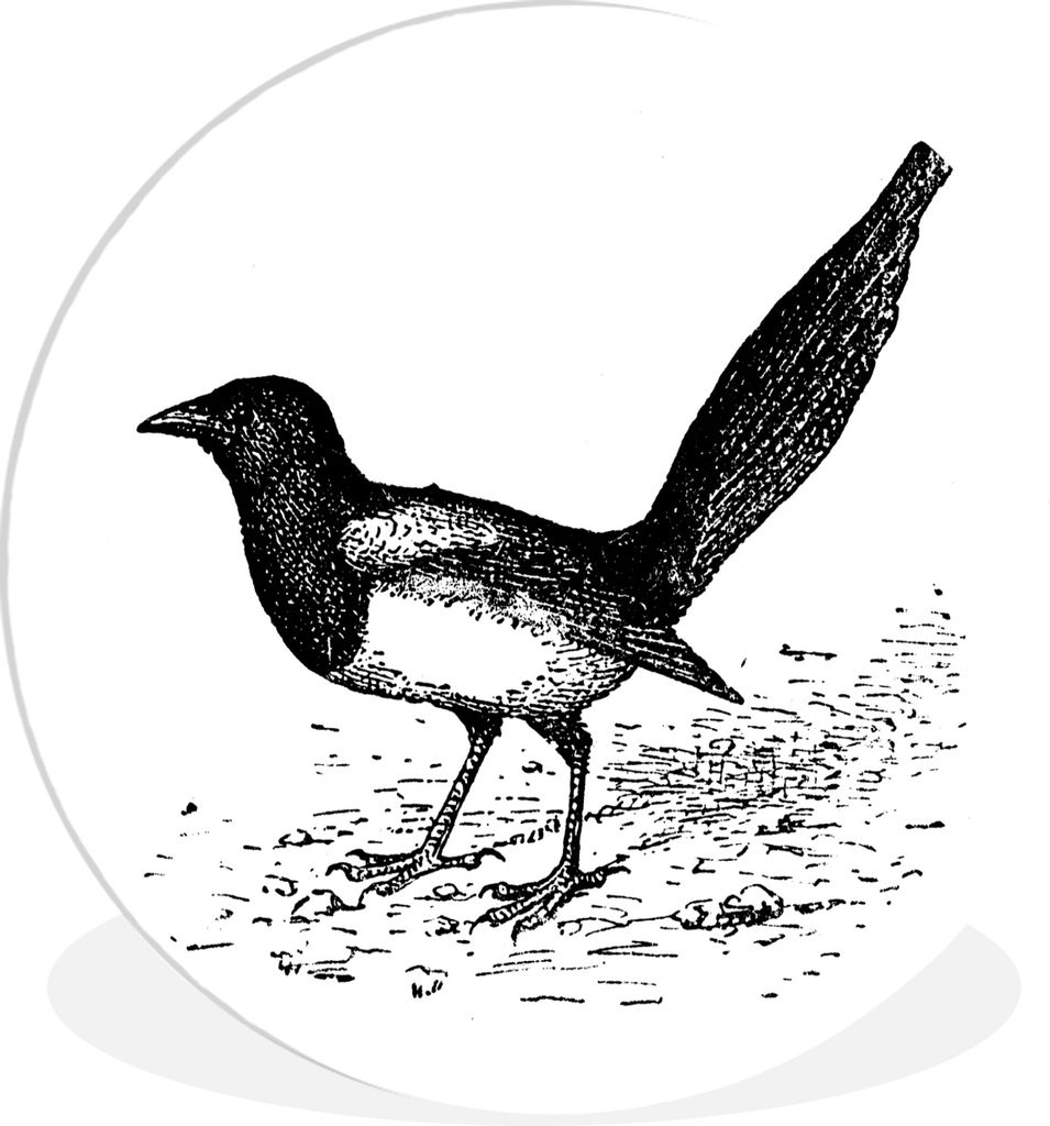 MuchoWow - Wand-Kreis - Wohnzimmer - Bild - Runde - Wanddeko - Dibond - Kunstdrucke