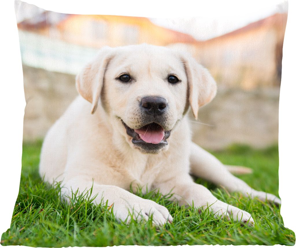 MuchoWow Zierkissen Sofakissen Wohnzimmer Dekokissen 45x45 cm Weißer Labrador Retriever im Gras liegend - Schlafpolster - Polster für das Sofa
