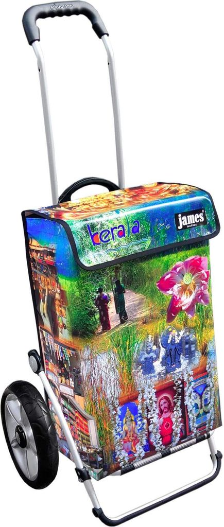 James Einkaufstrolley - KERALA - stabiler Einkaufswagen mit individuellem Design - einfarbig: grün in Ausführung: Royal-Leichtraeder