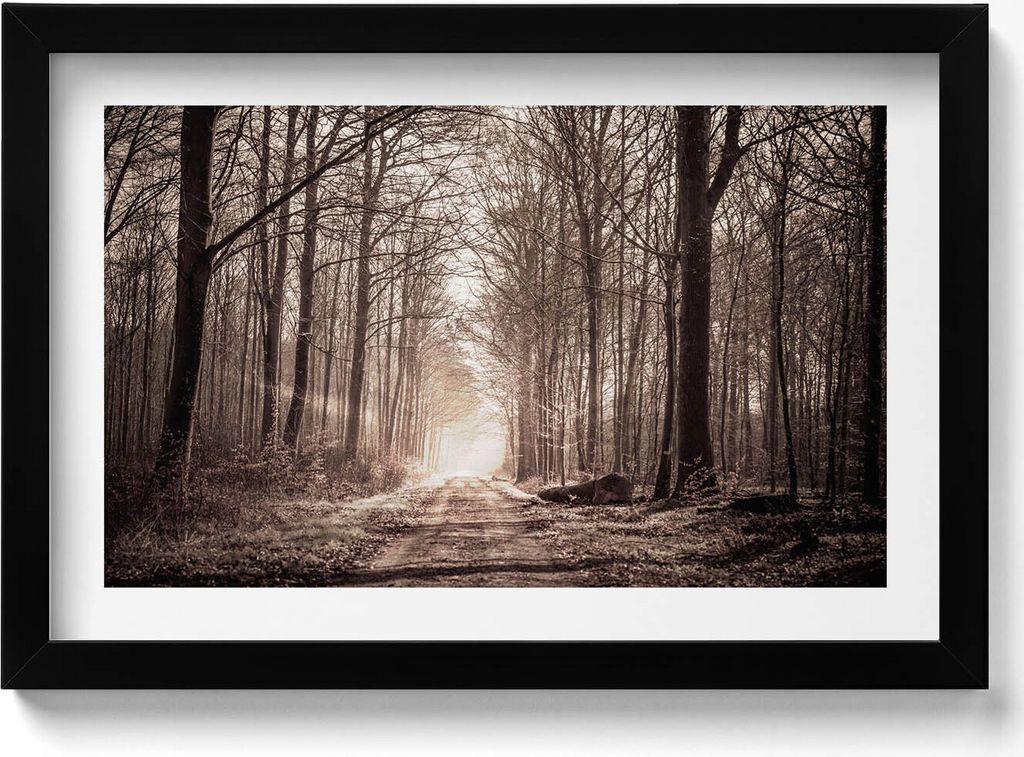 Waldweg in Sepia-Farben– Wandbild mit Rahmen – Gerahmtes Bild – Wanddekoration – 30x20 cm – Schwarz Rahmen