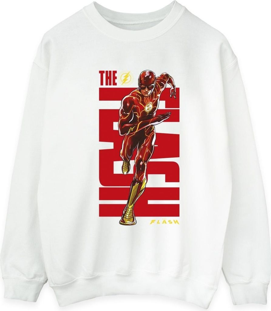 DC Comics - Sweatshirt für Herren BI47253 (L) (Weiß)